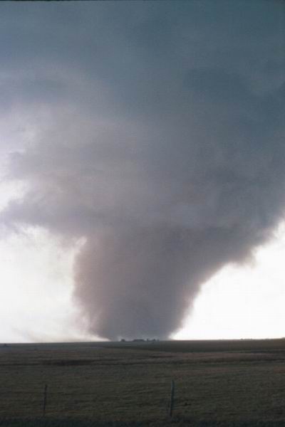 Tornado